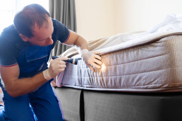 Best Bed Bug Extermination  in Morongo Valley, CA